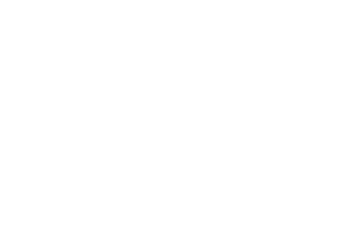 Bg logo